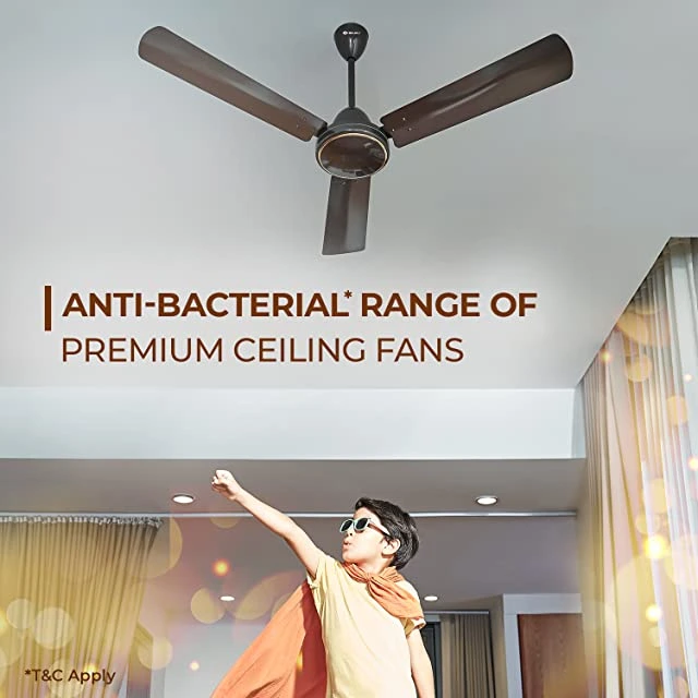 Premium Ceiling Fans