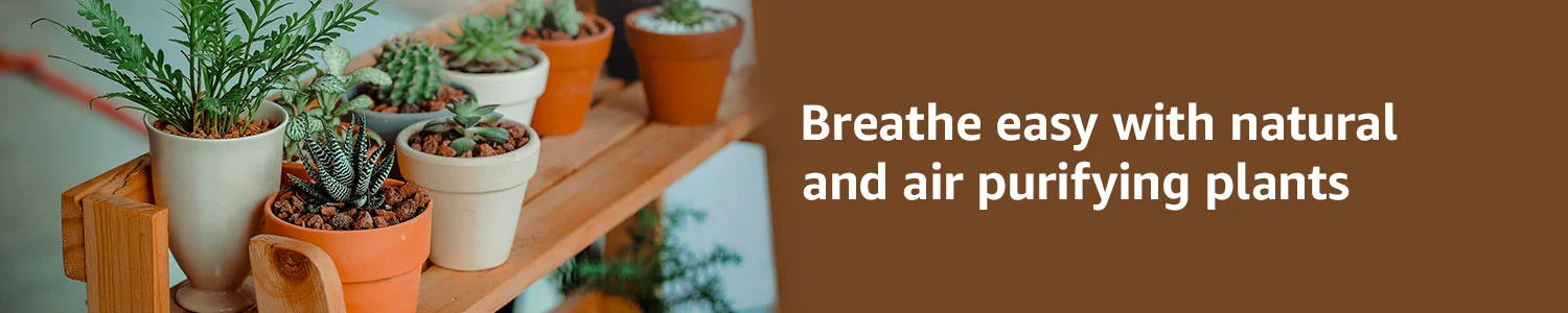 Breathe Easy With Natural