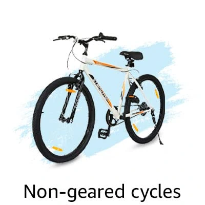 Non Geared Cycles