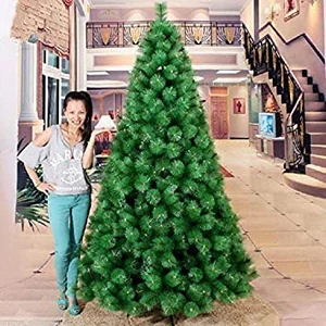 Christmas Tree 6+ Feet