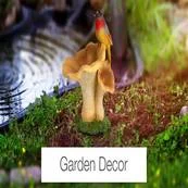 Garden And Outdoor