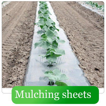 Mulching Sheets