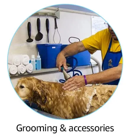 Grooming & Accessories