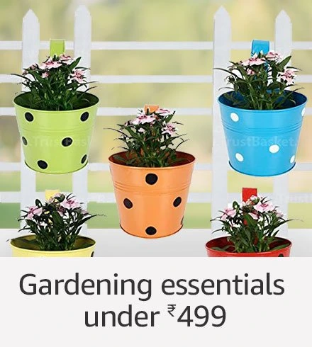 Gardening Essentials under Rs.499