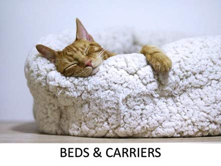 Beds & Carriers