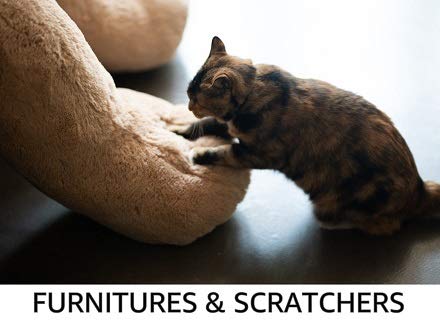 Furnitures & Scratchers