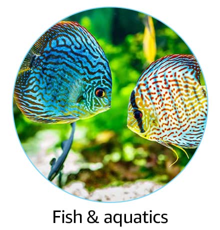 Pet Supplies : Fishes