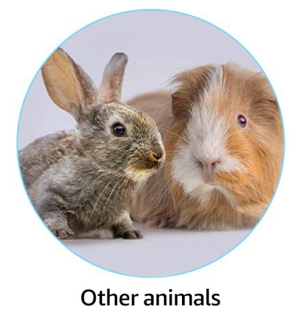 Pet Supplies : Other Animals